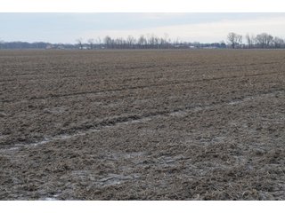 Property photo 31 - 173 +/- Acres Offered in 3 Tracts - Ohio Farmland